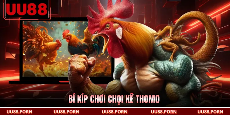 Bí kíp chơi chọi kê Thomo