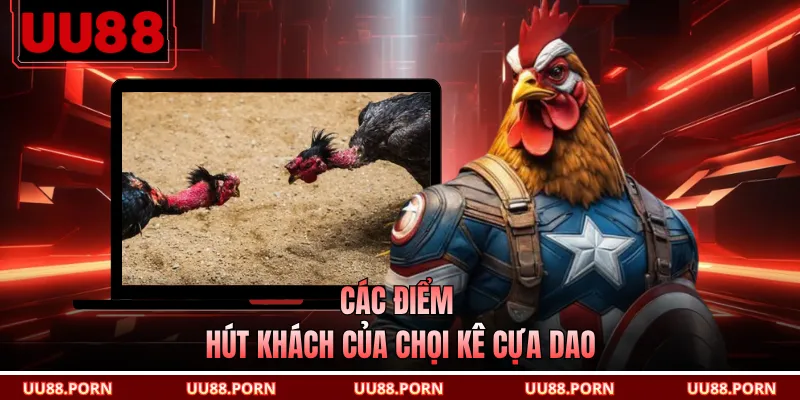 Các điểm hút khách của chọi kê cựa dao