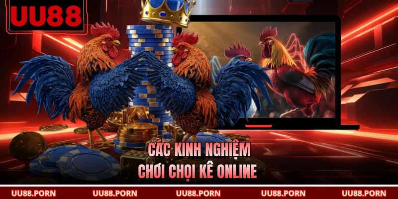 Các kinh nghiệm chơi chọi kê online