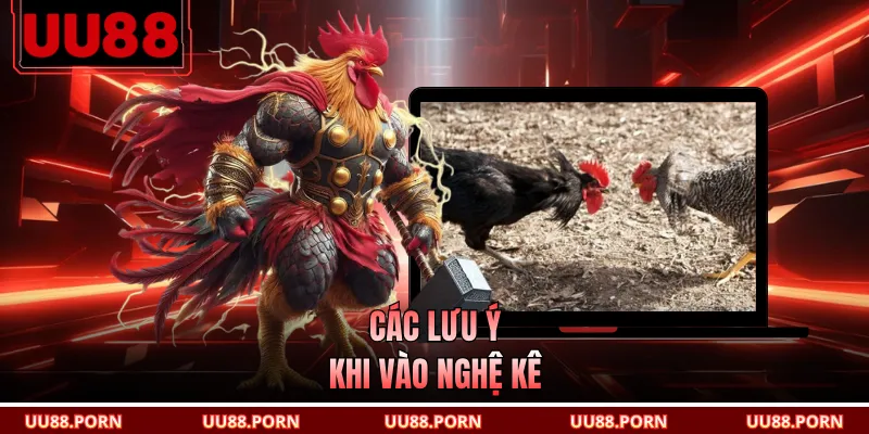 Các lưu ý khi vào nghệ kê
