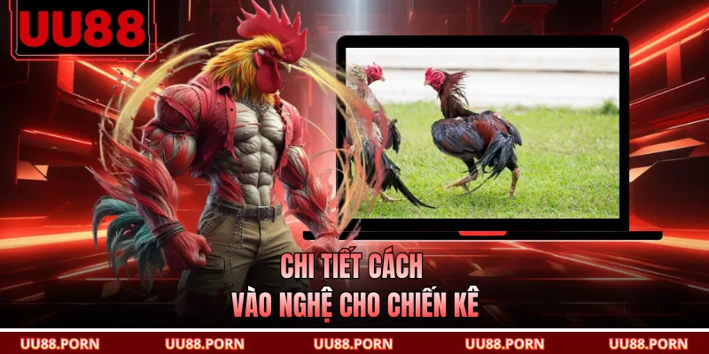 Chi tiết cách vào nghệ cho chiến kê