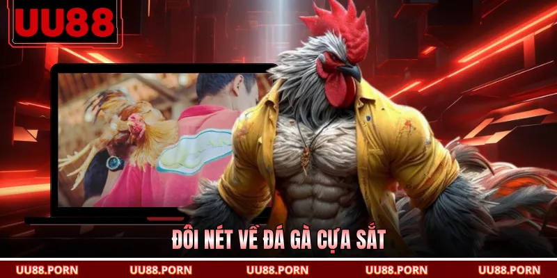 Đôi nét về đá gà cựa sắt