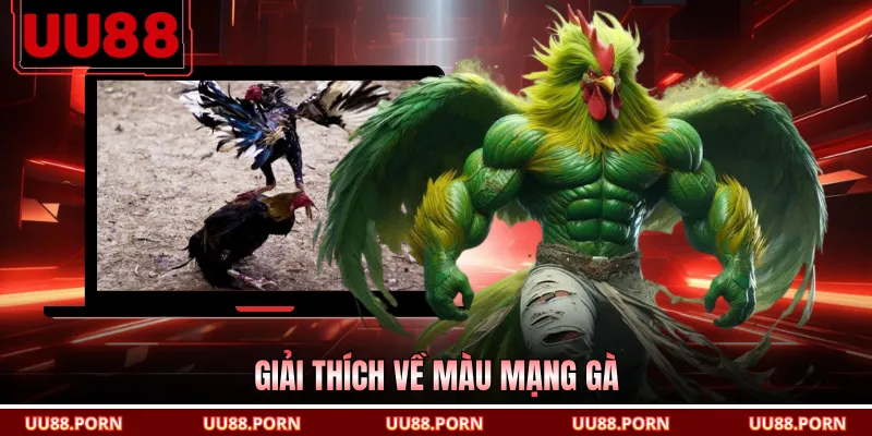 Giải thích về màu mạng gà