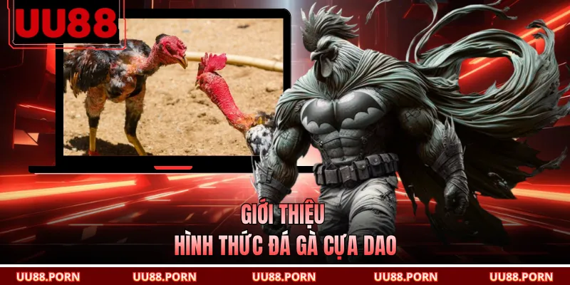 Giới thiệu hình thức đá gà cựa dao
