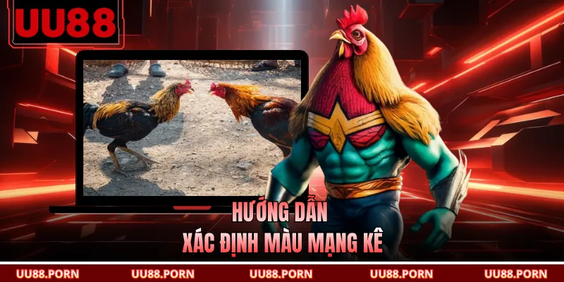 Hướng dẫn xác định màu mạng kê