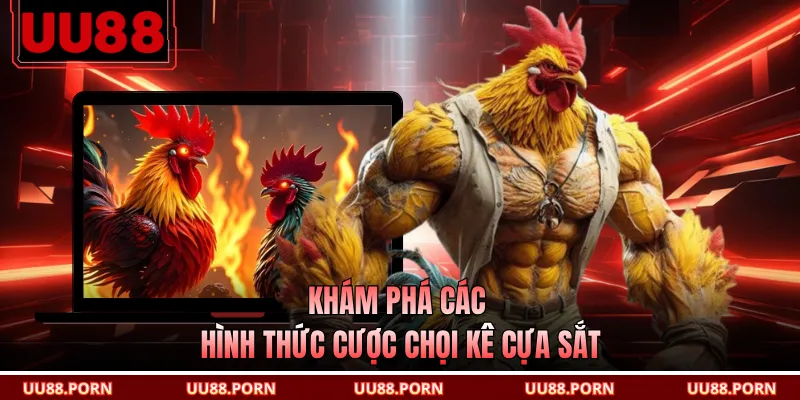 Khám phá các hình thức cược chọi kê cựa sắt