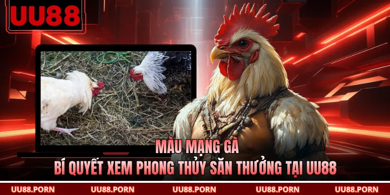 Màu Mạng Gà - Bí Quyết Xem Phong Thủy Săn Thưởng Tại UU88