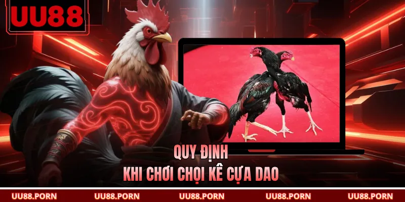 Quy định khi chơi chọi kê cựa dao