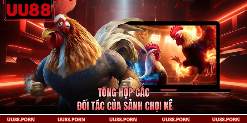 Tổng hợp các đối tác của sảnh chọi kê