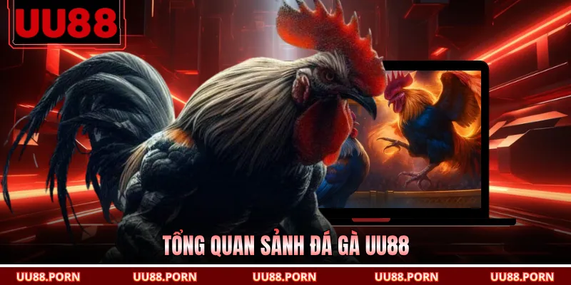 Tổng quan sảnh đá gà UU88