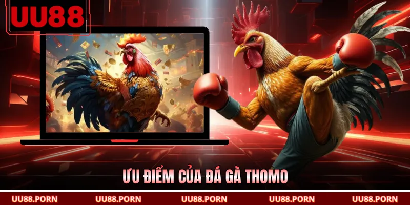 Ưu điểm của đá gà Thomo